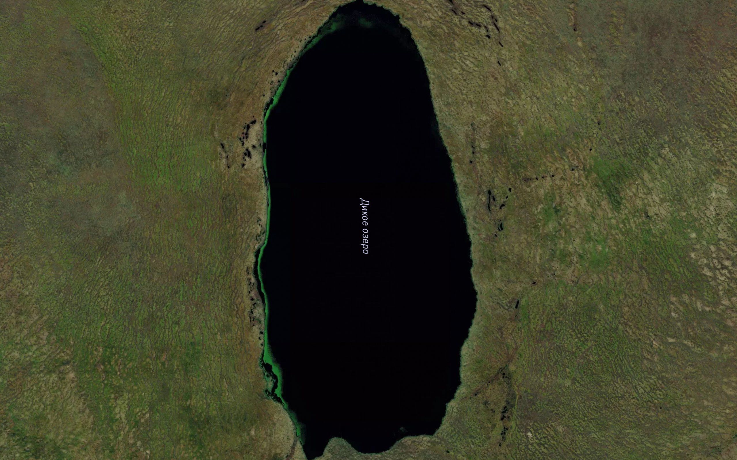 Ozero Dikoye