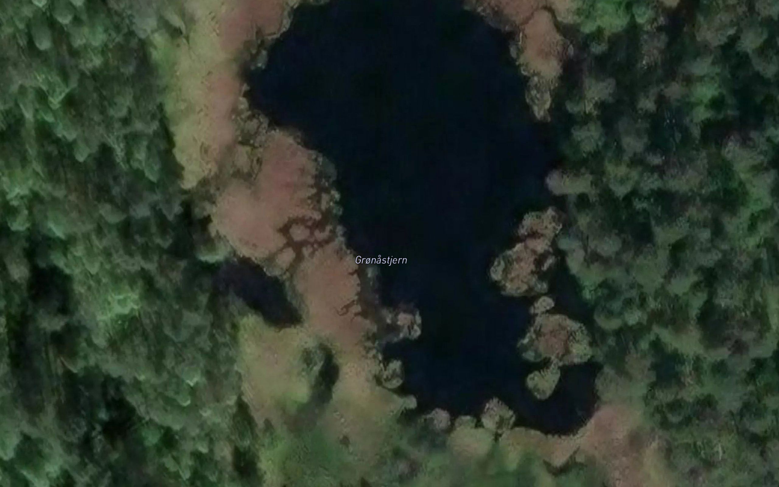 Gronastjern