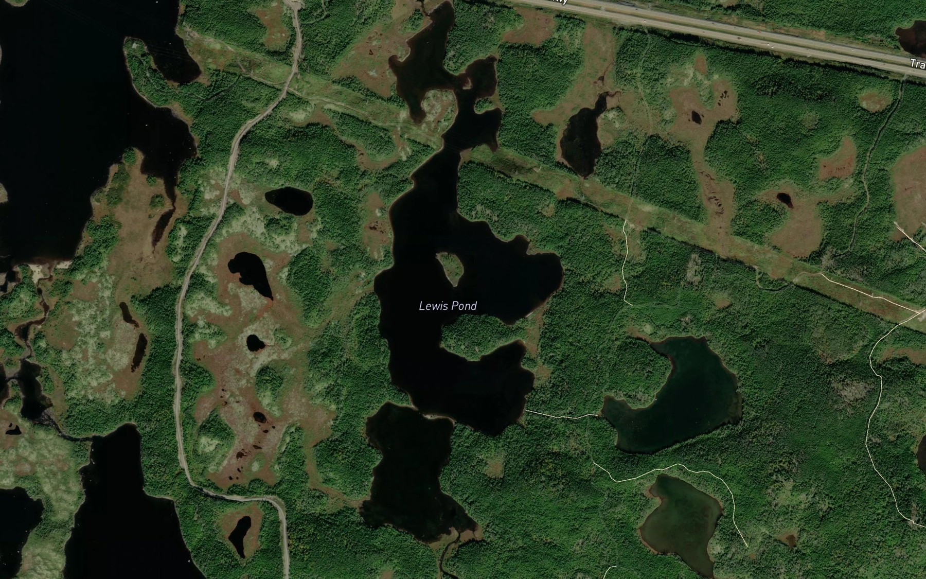 Lewis Pond Fishing near Holyrood, NL | Fishbox