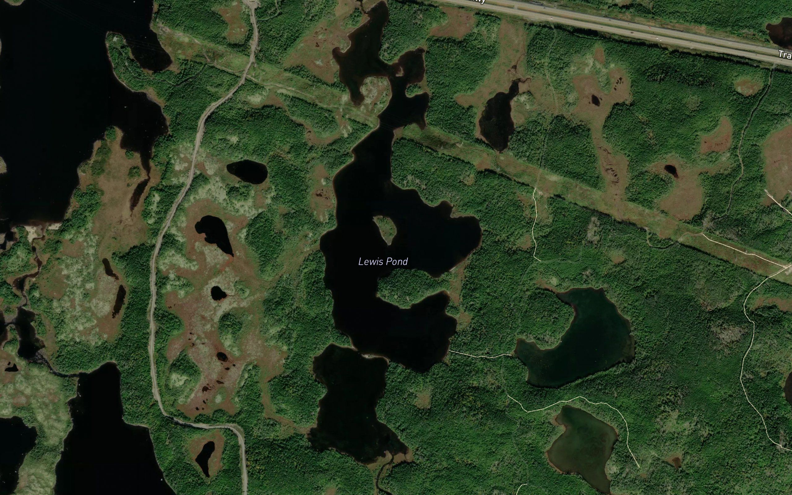 Lewis Pond