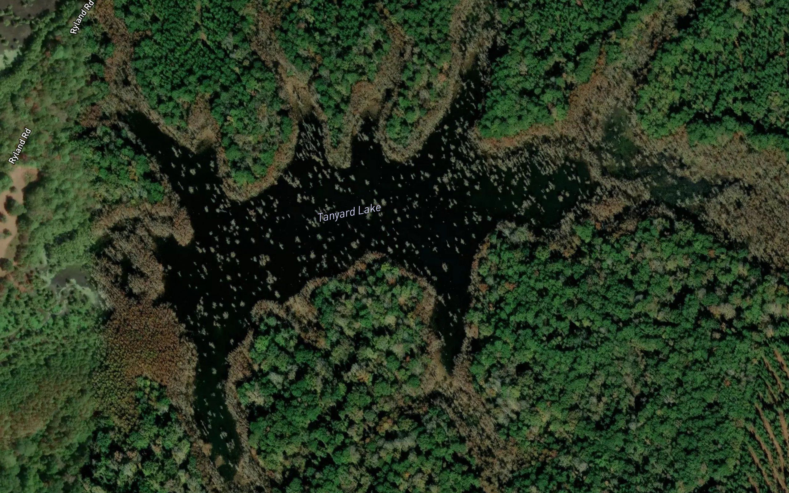 Tanyard Lake