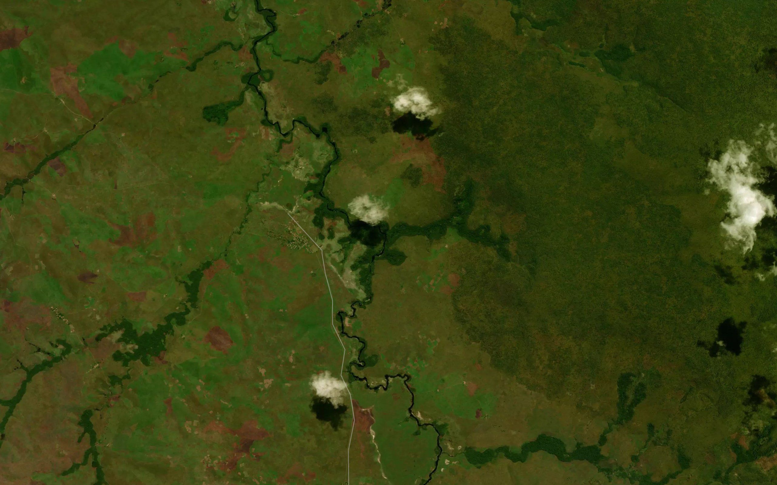 Mangulu