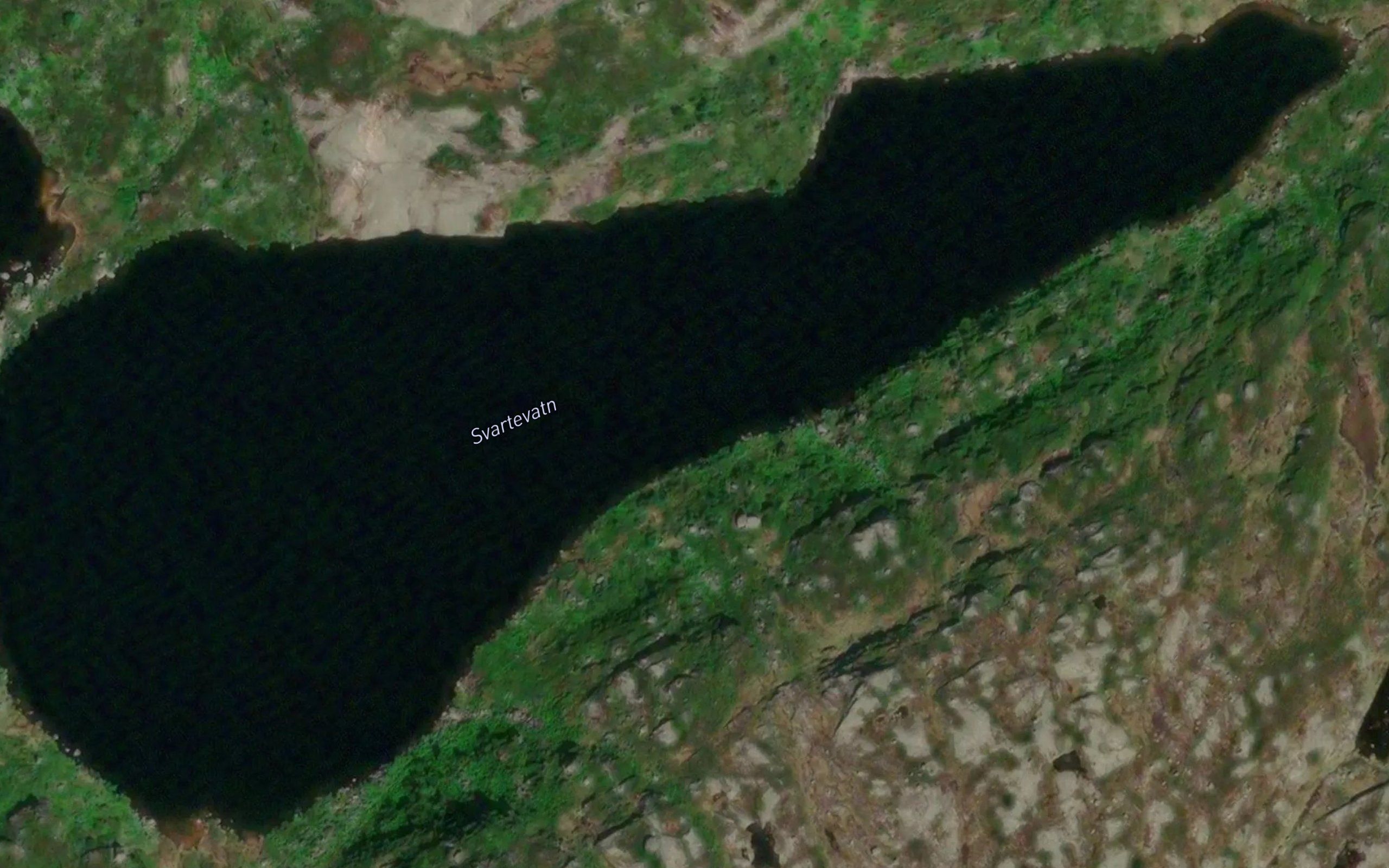 Svartevatnet