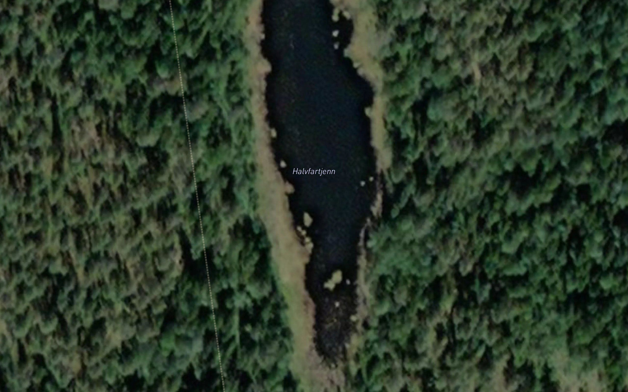 Halvfartjern