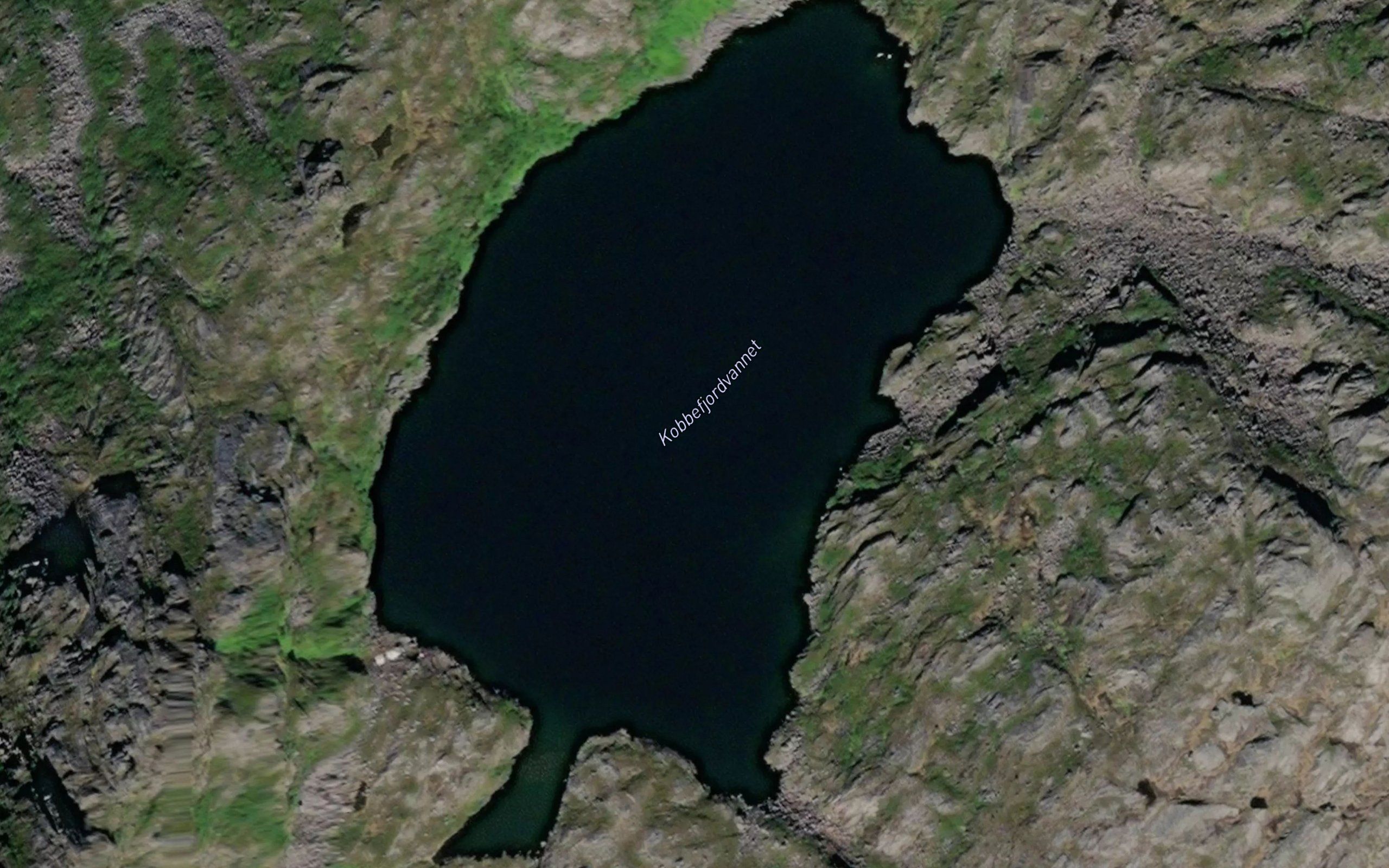 Kobbefjordvatnet