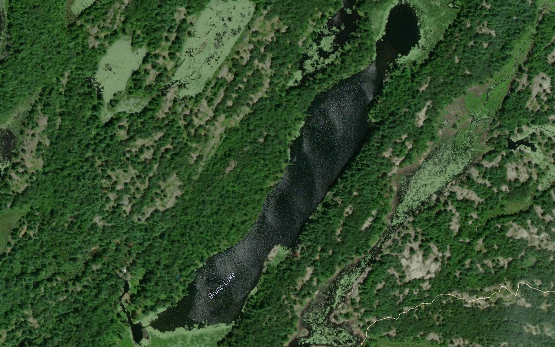 Satellite map of the Bruno Lake