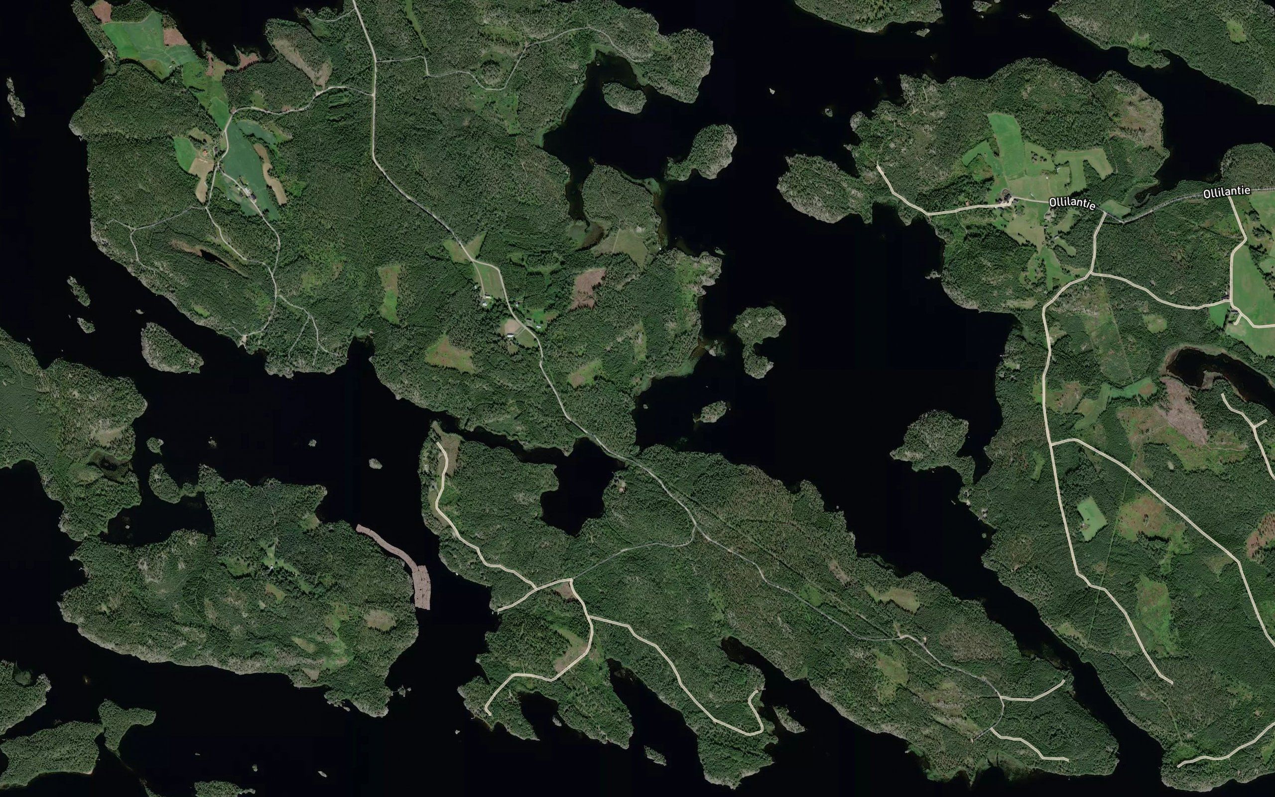 Puranen