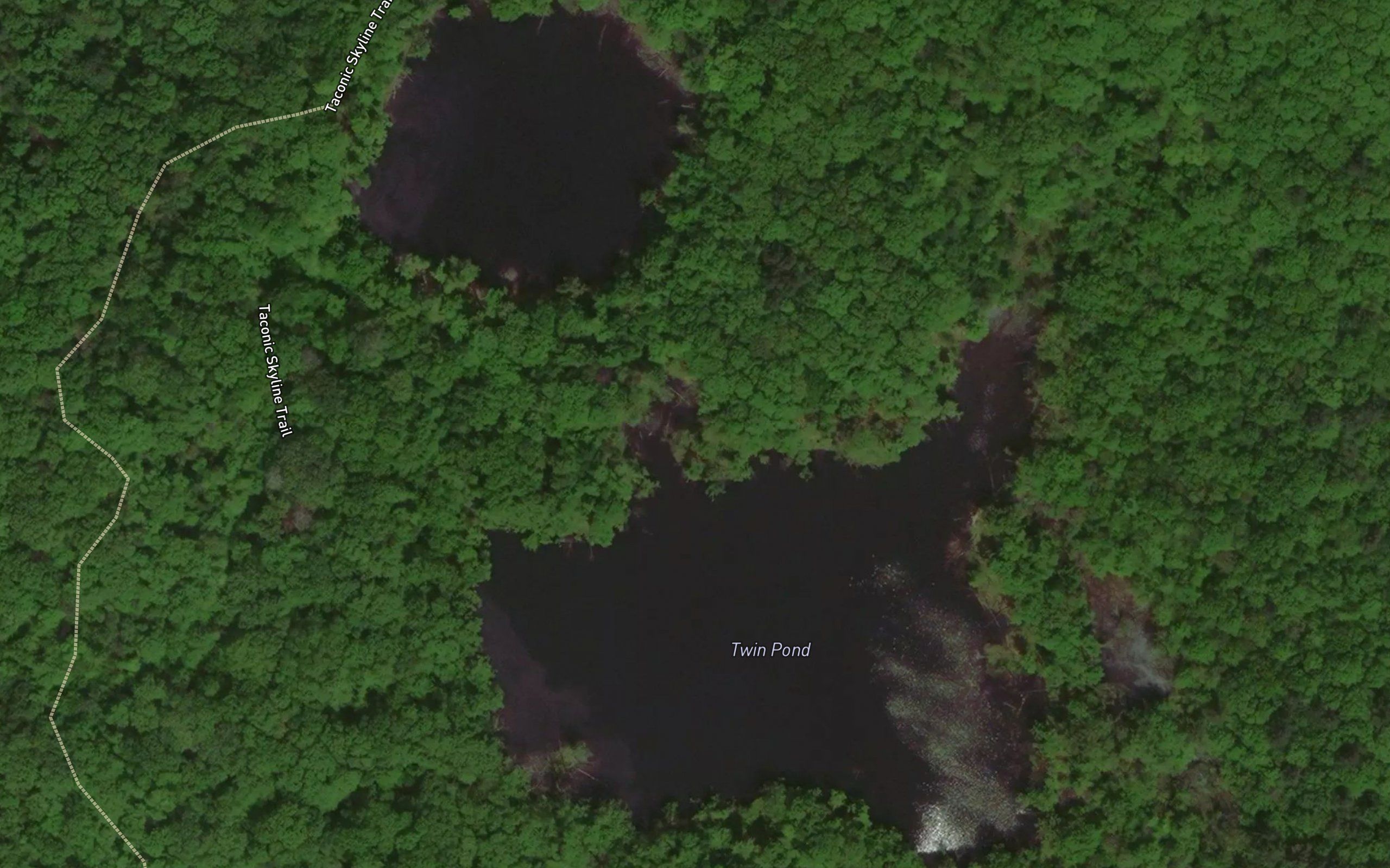 Twin Pond