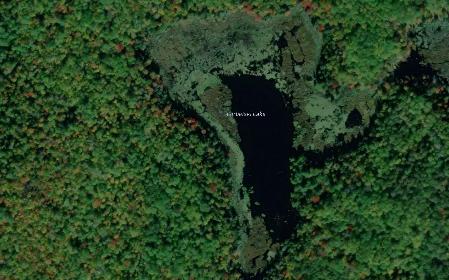 Satellite map of the Lorbetski Lake