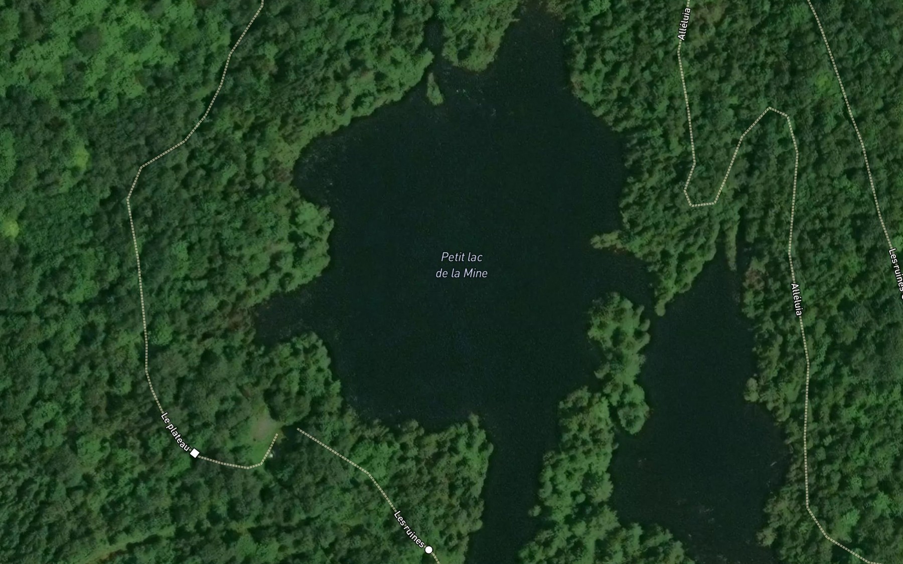 Satellite map of the Petit lac de la Mine