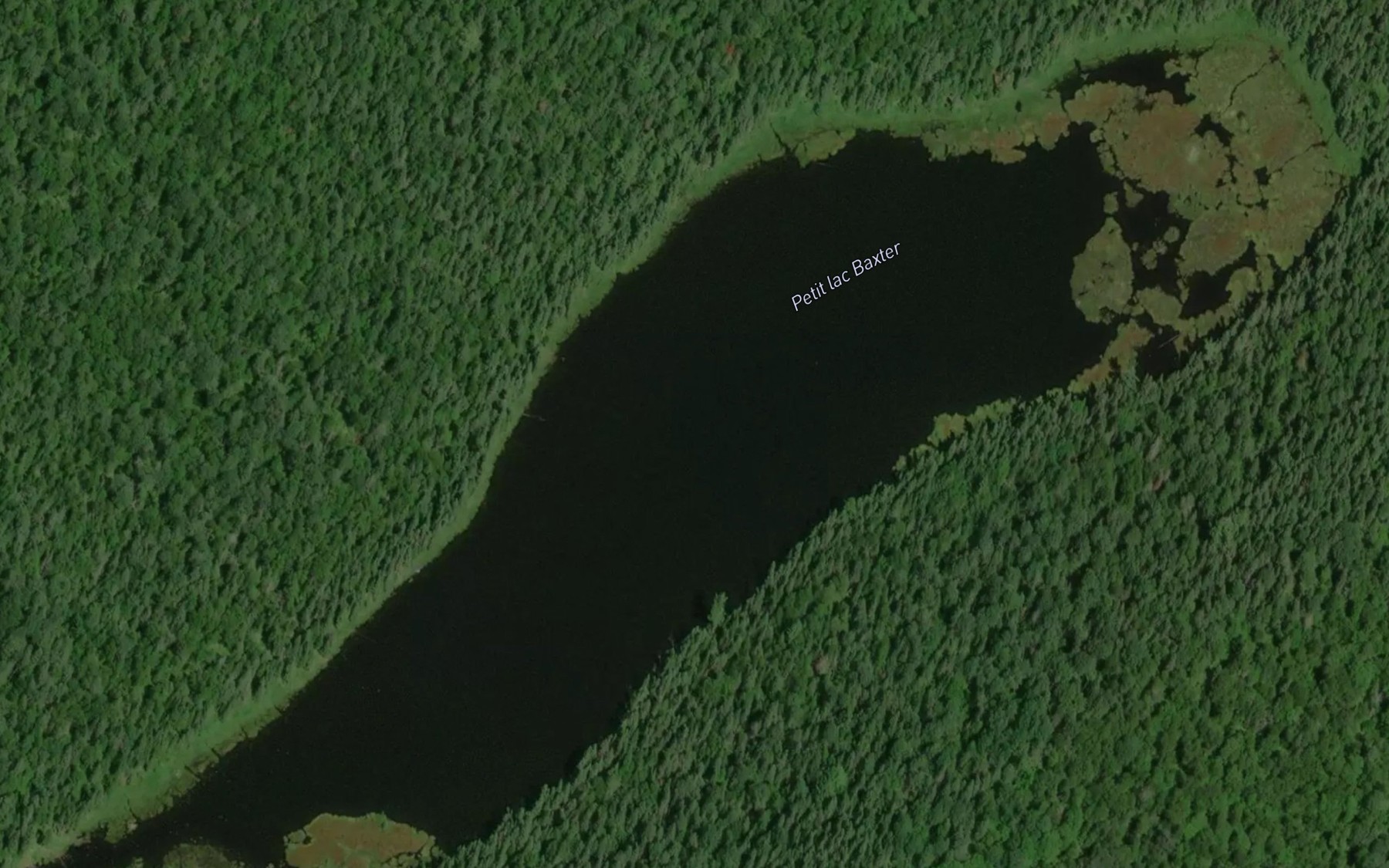 Satellite map of the Petit lac Baxter