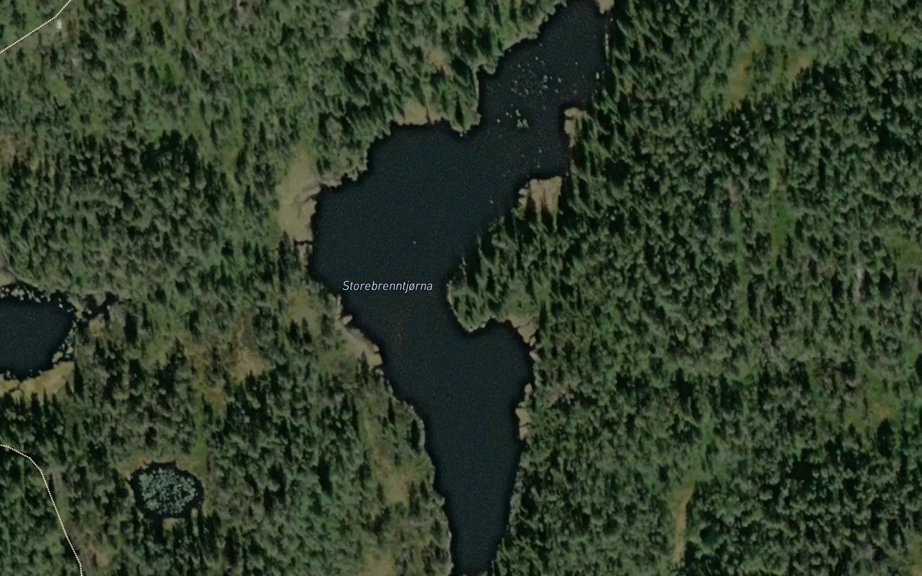 Satellite map of the Store Brennestjonn