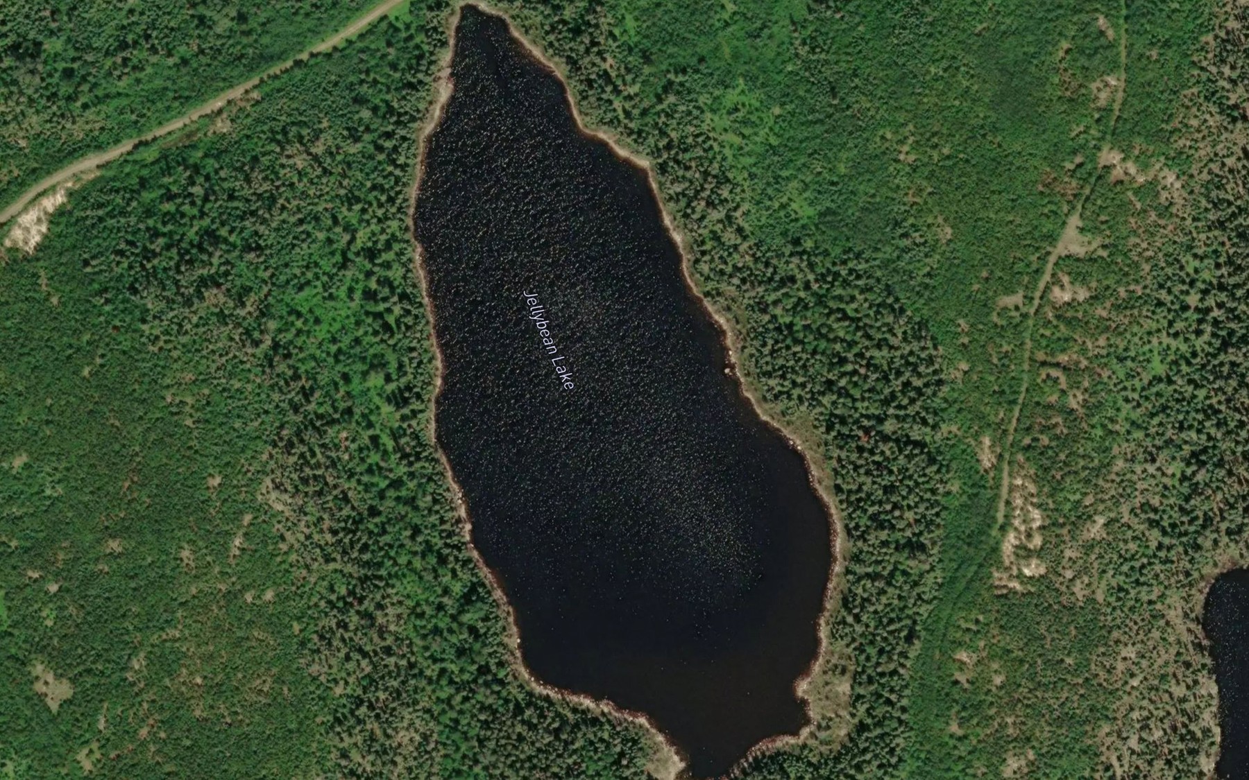 Satellite map of the Jellybean Lake
