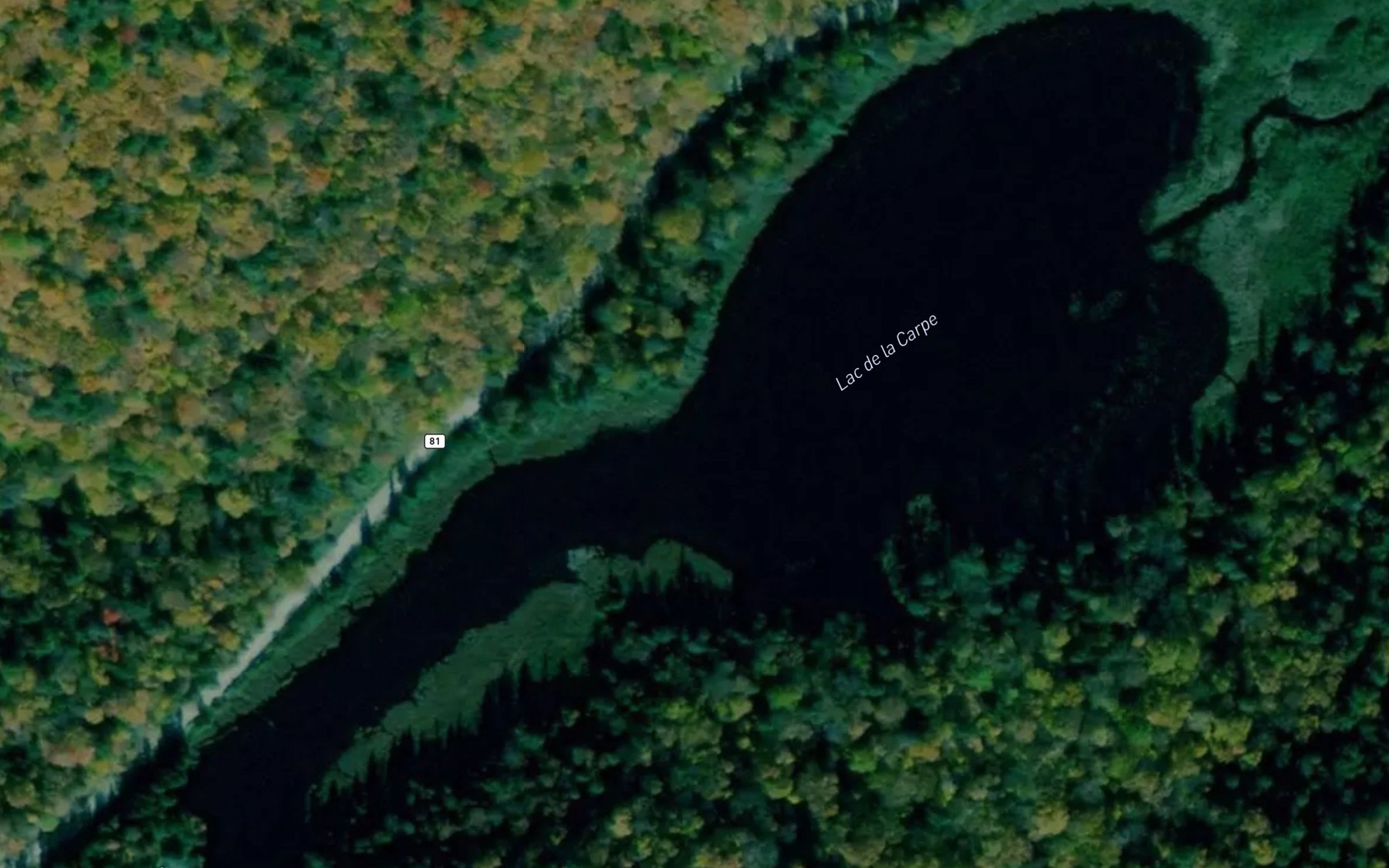 Satellite map of the Lac de la Carpe