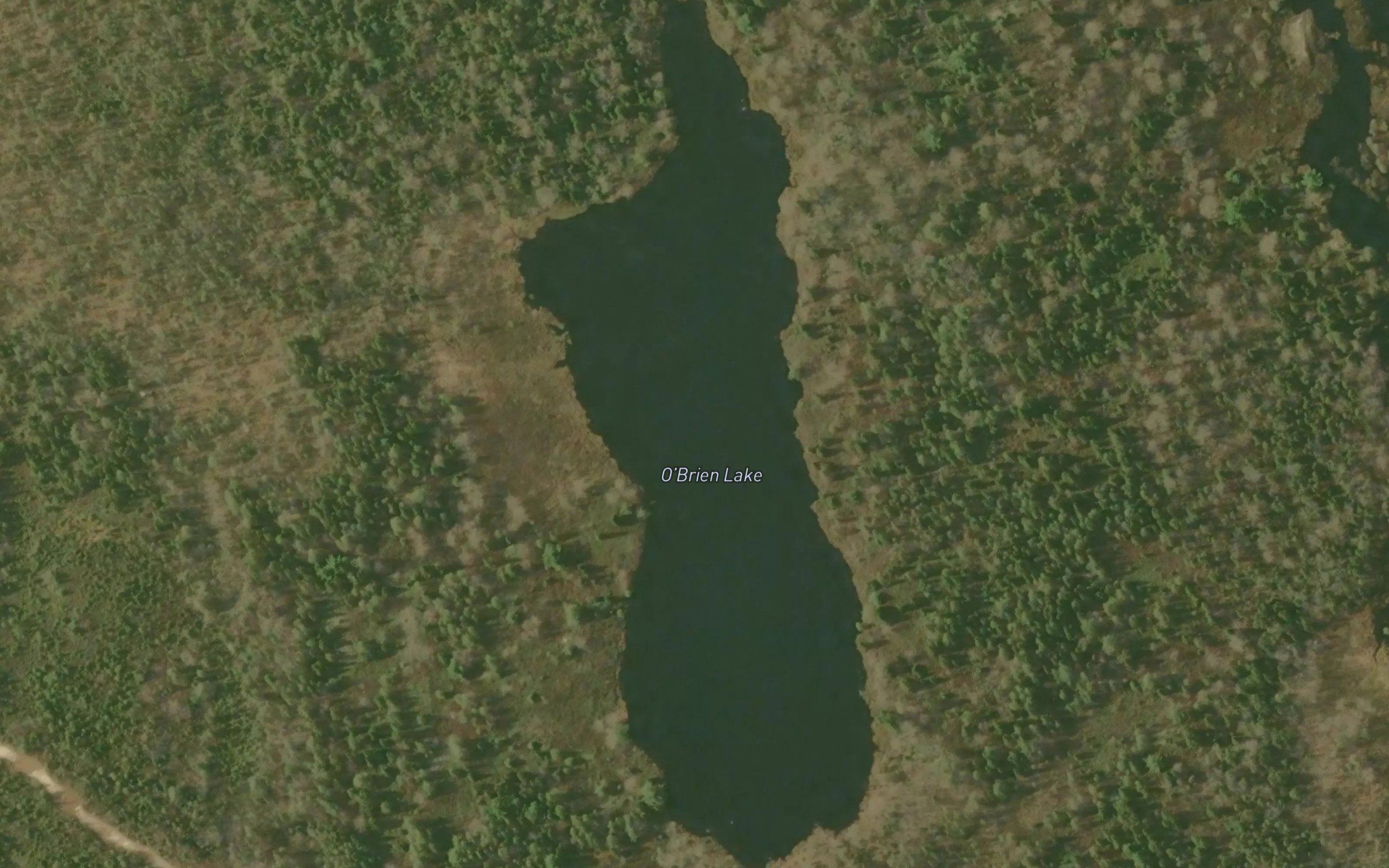 O'Brien Lake