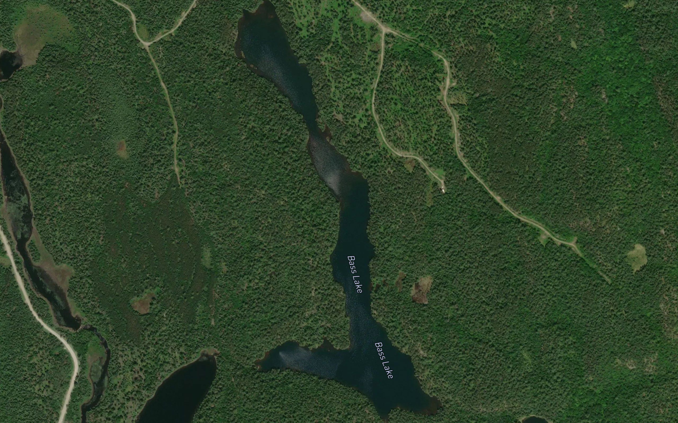 Bass Lake