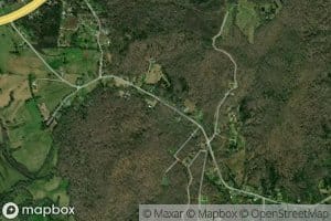 Double Springs