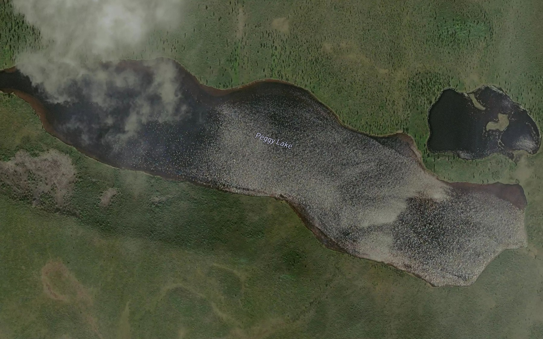 Satellite map of the Peggy Lake