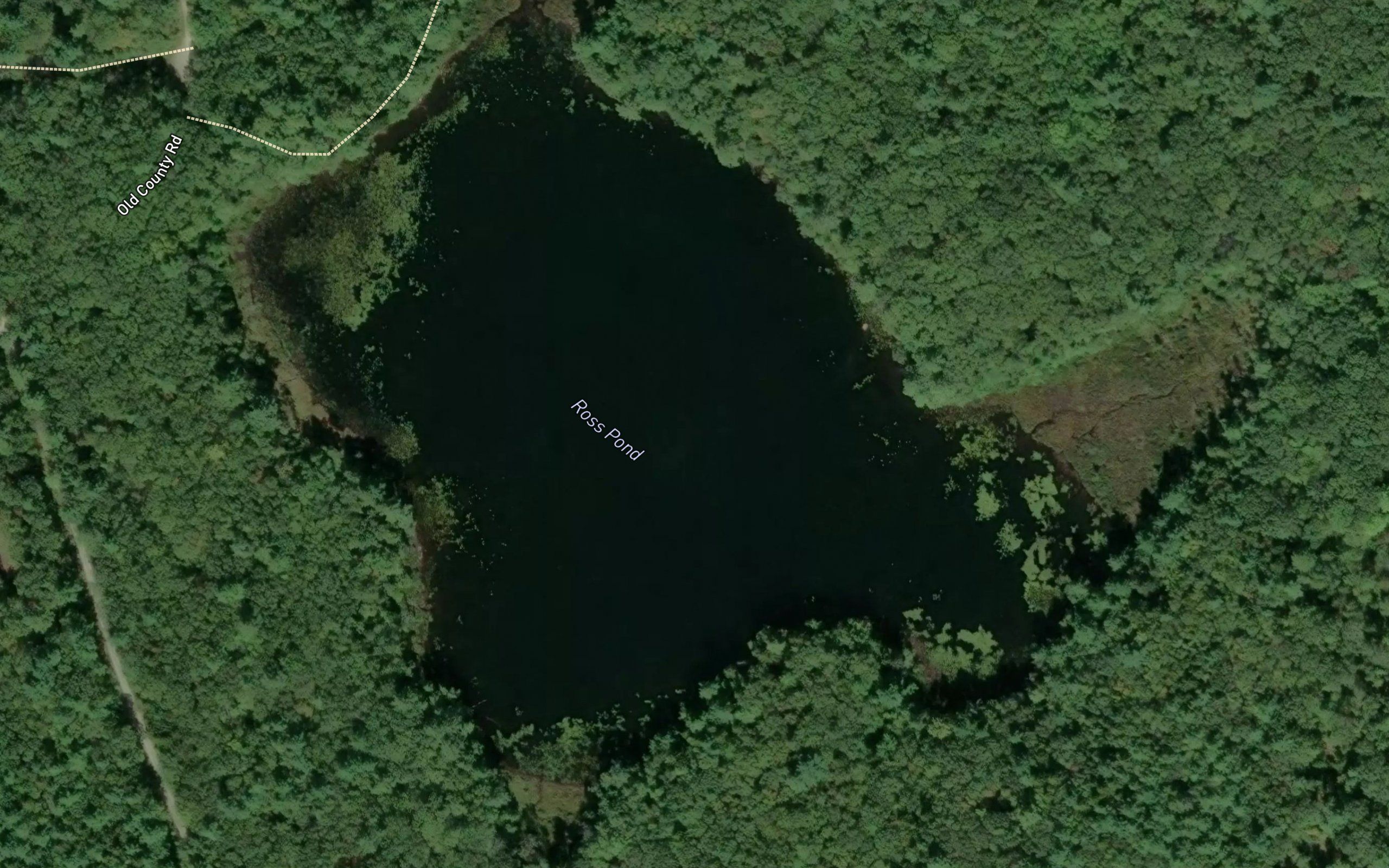 Ross Pond
