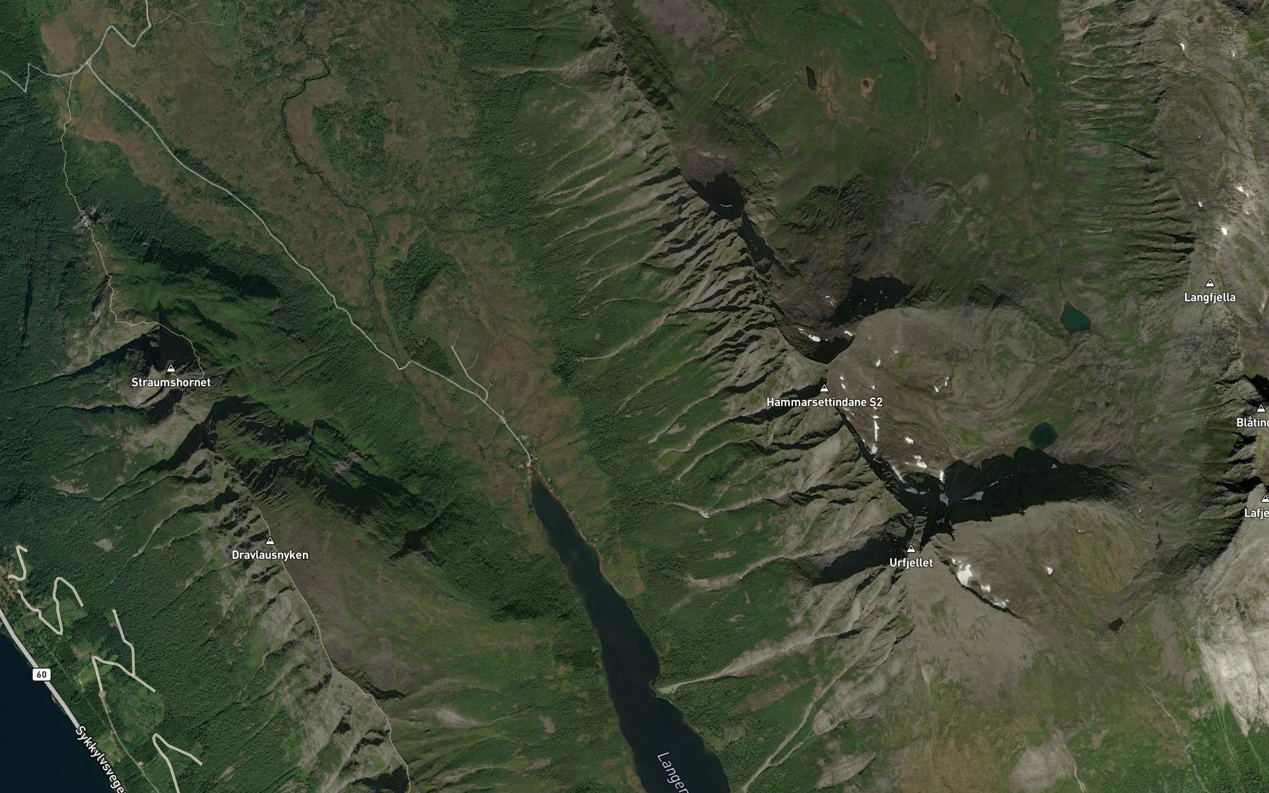 Storskrea