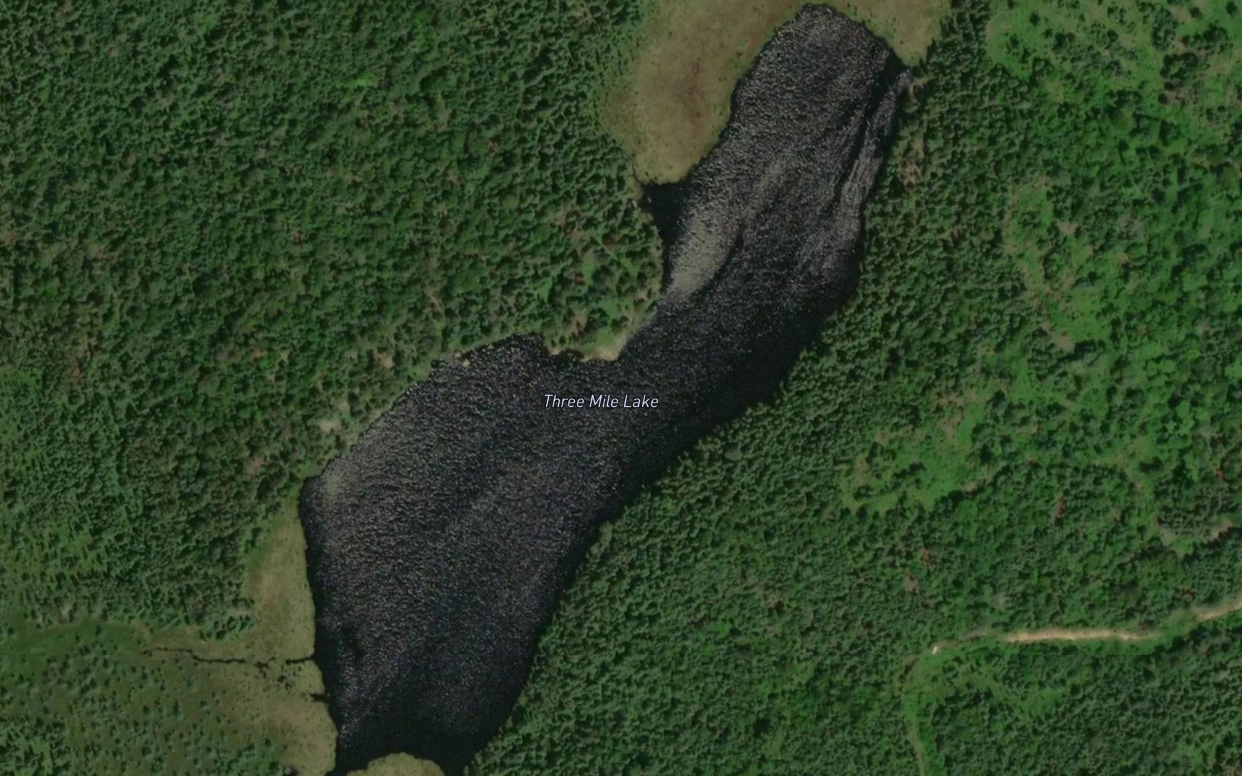 Satellite map of the Three Mile Lake