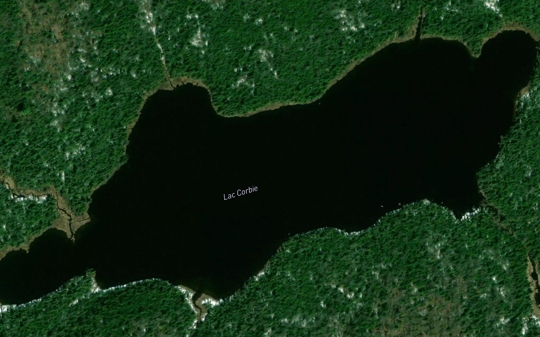 Satellite map of the Lac Amik