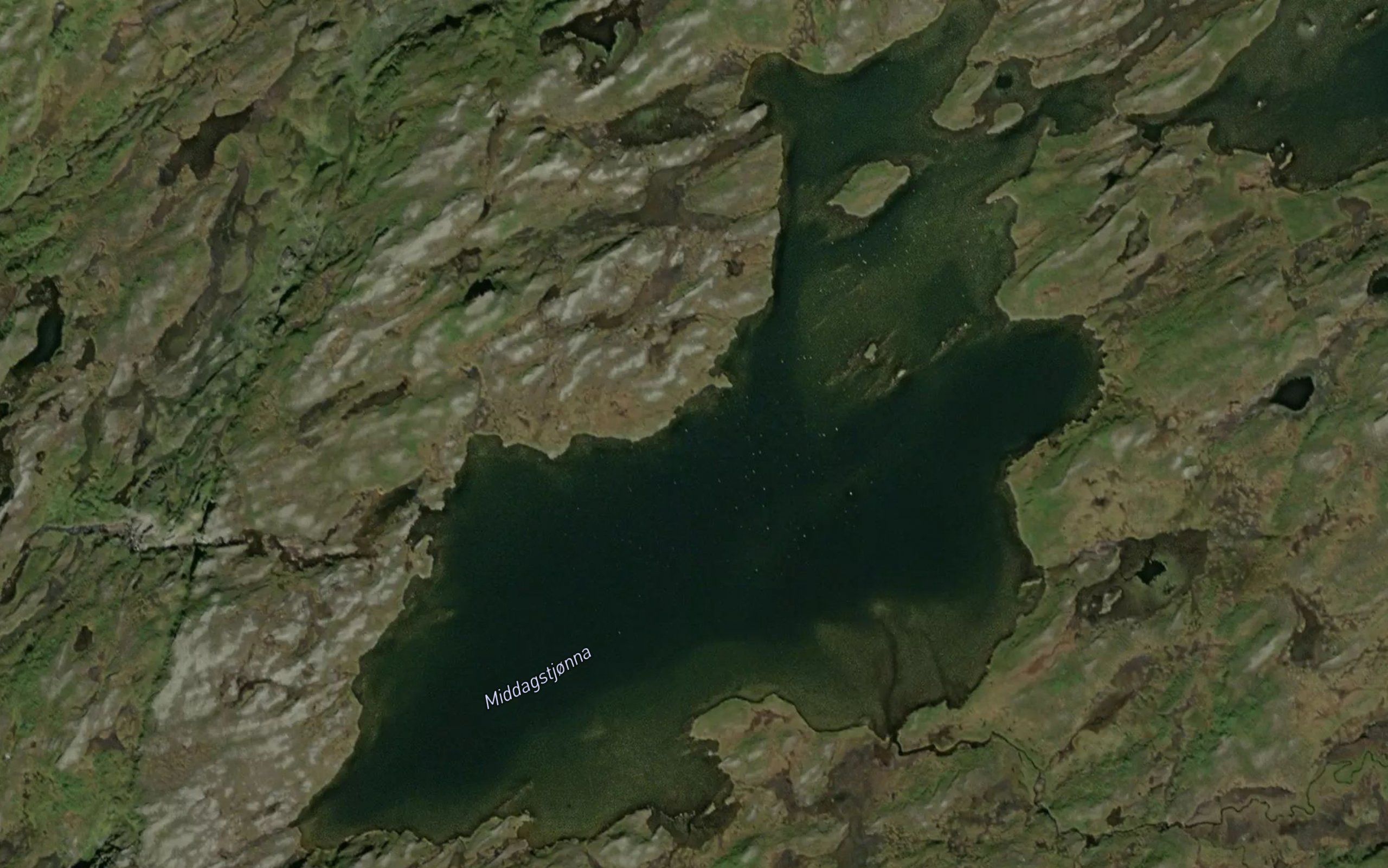 Middagstjorna