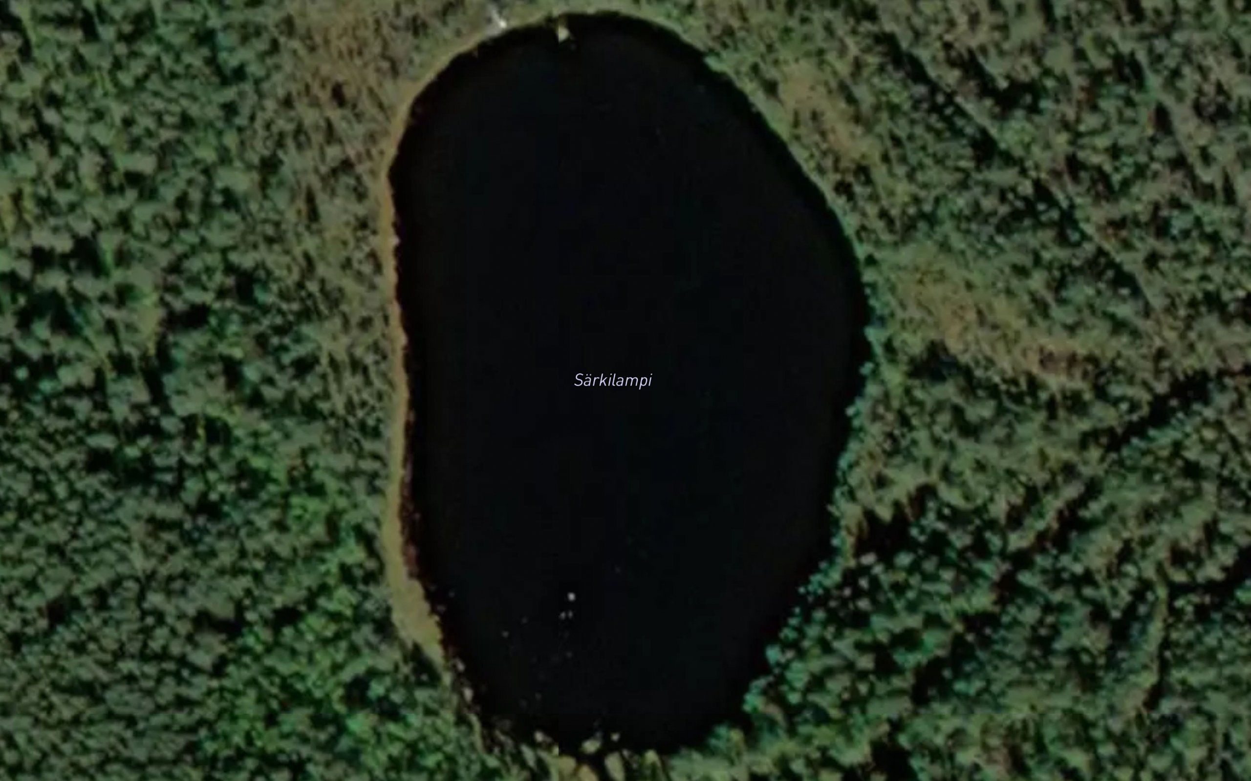 Sarkilampi