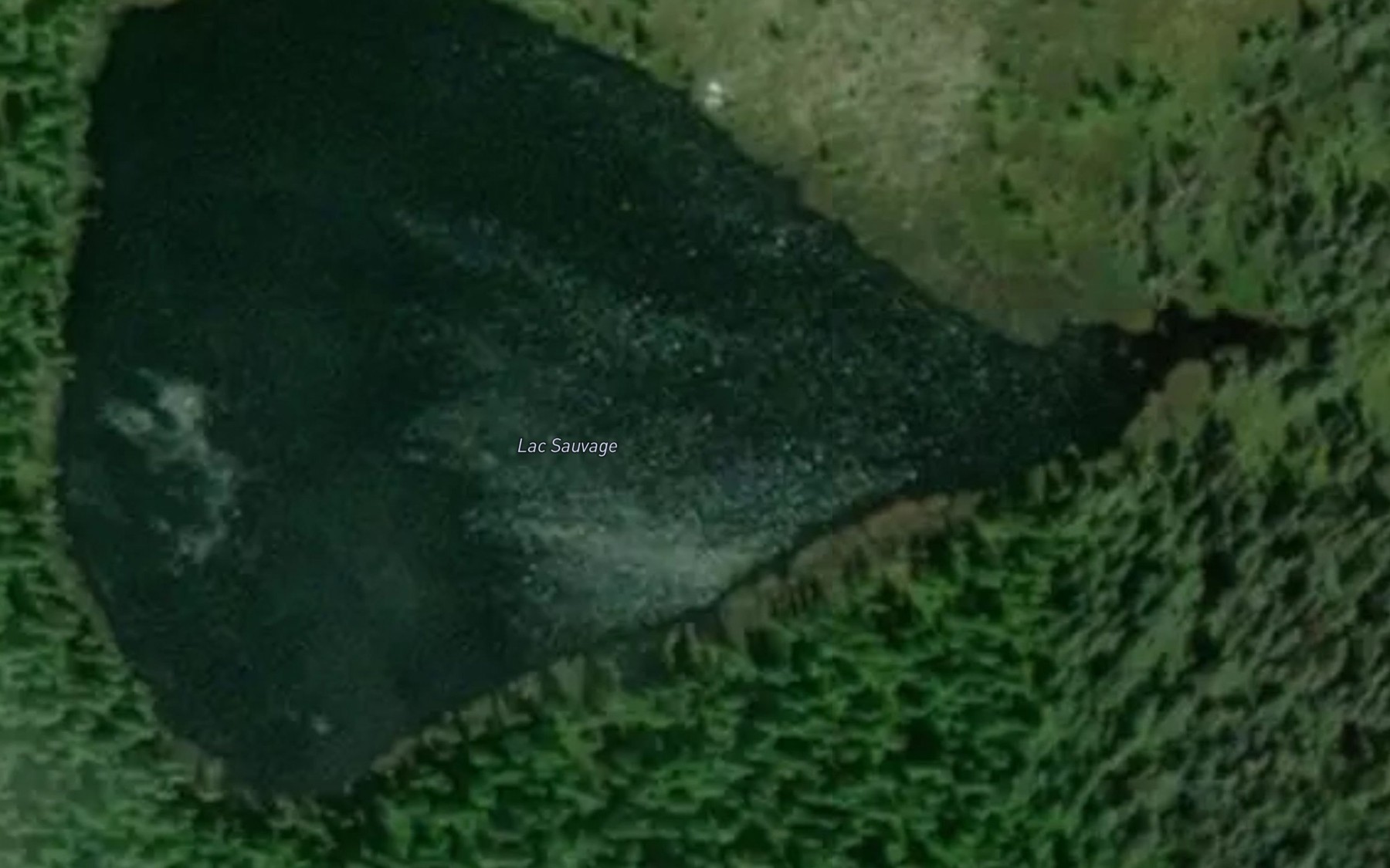 Satellite map of the Lac Sauvage