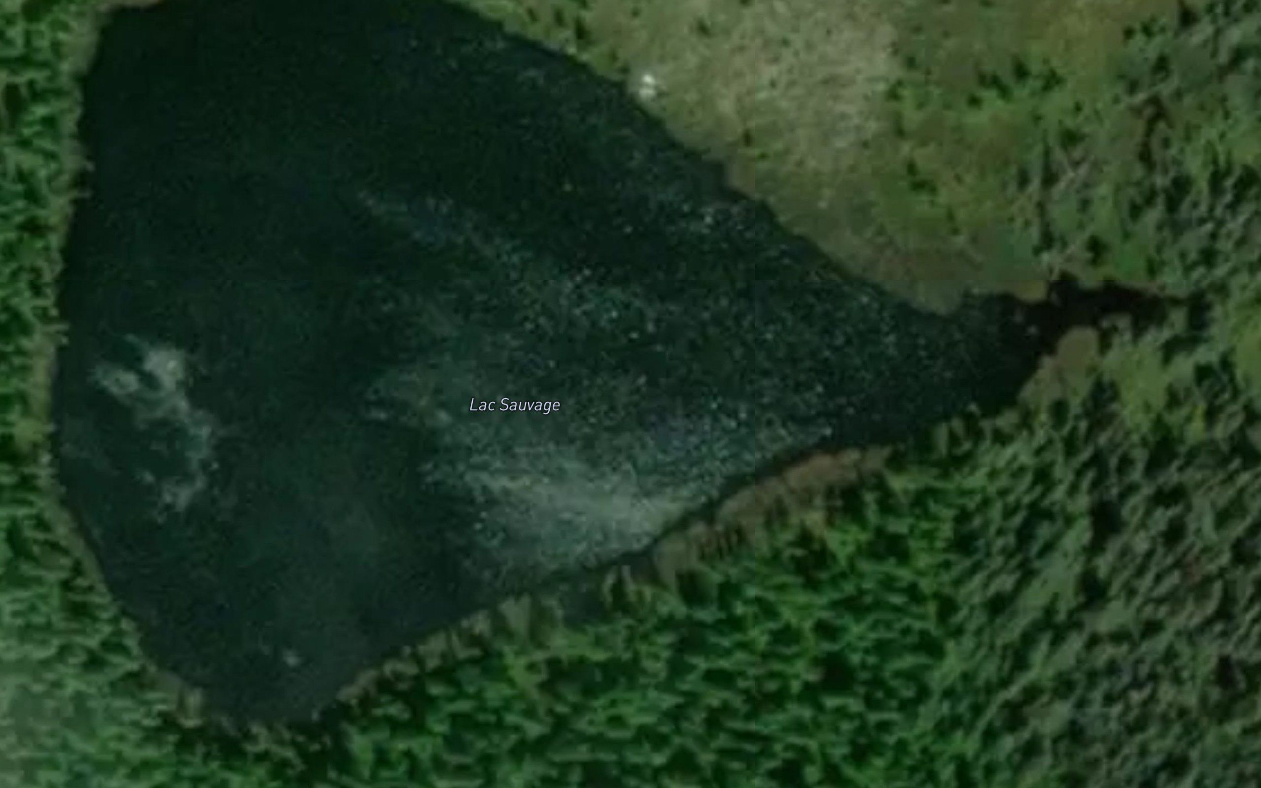 Lac Sauvage