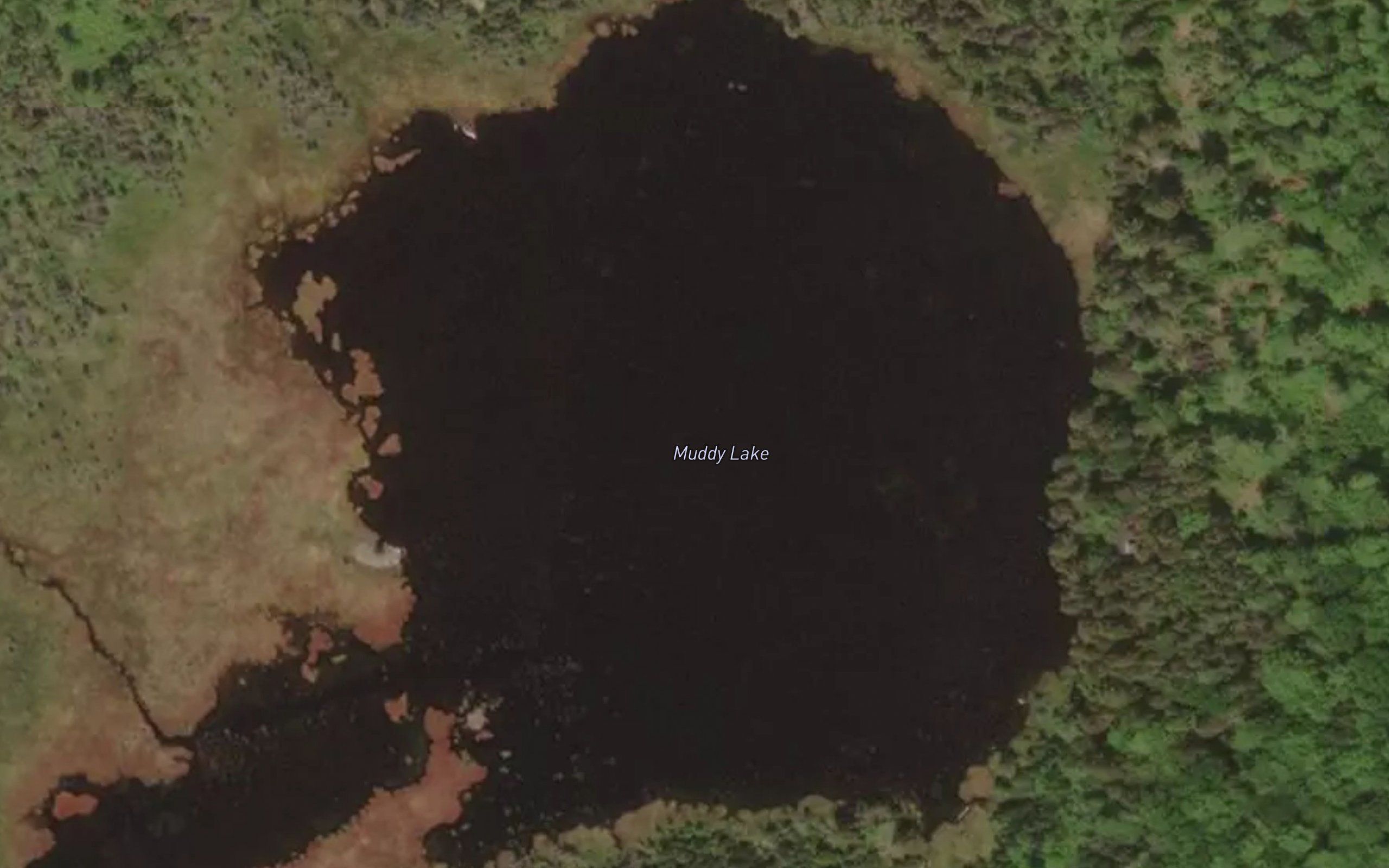 Muddy Lake