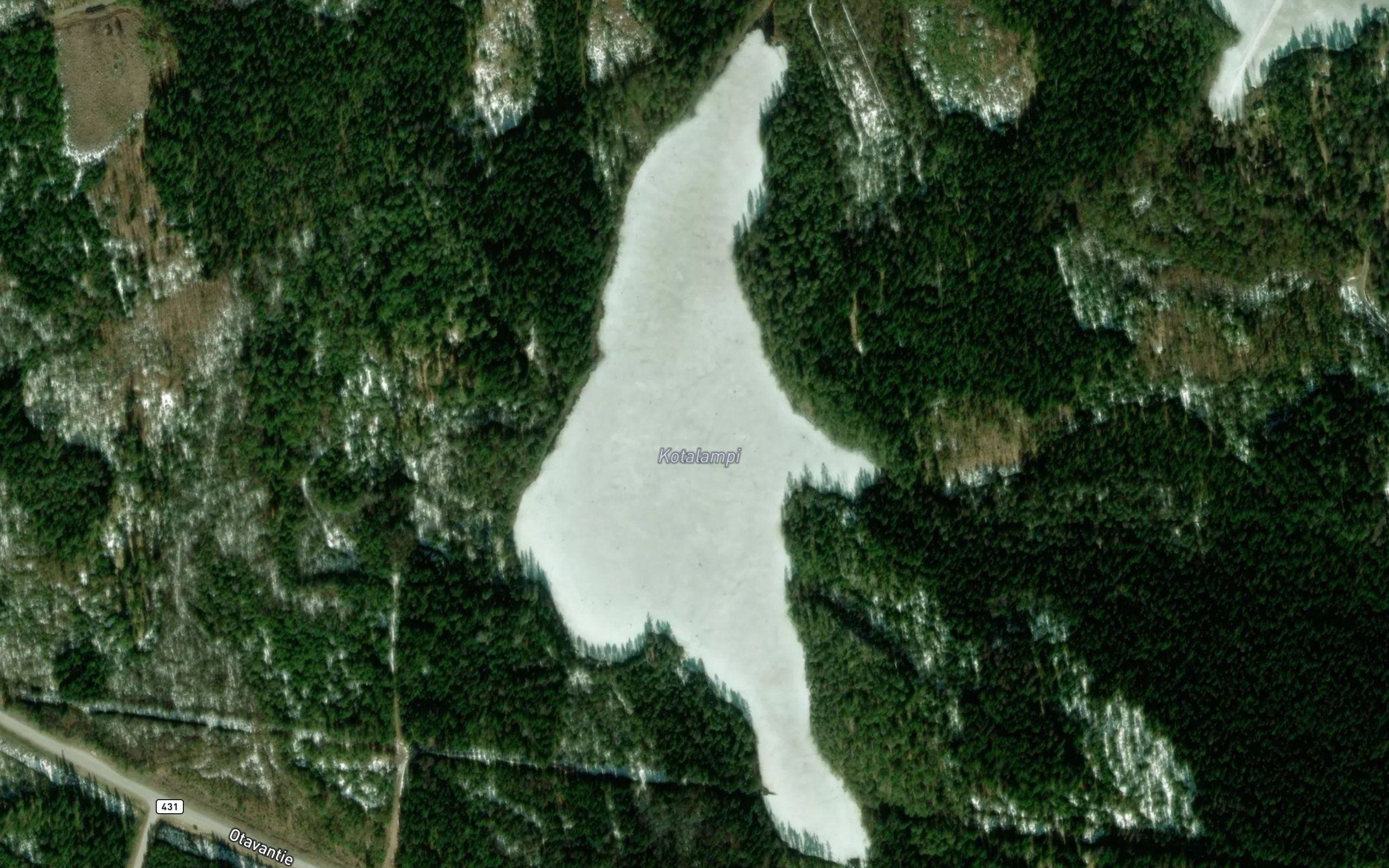 Kotalampi