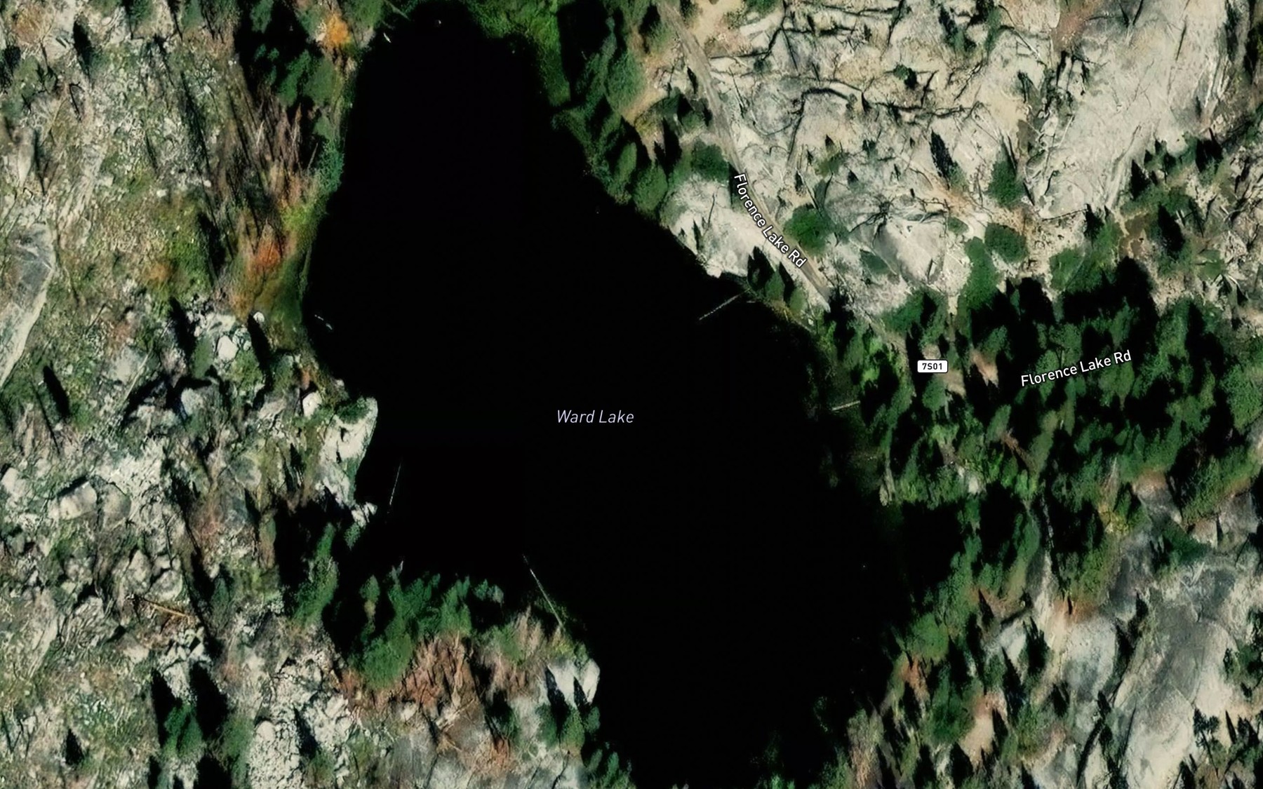 Satellite map of the Ward Lake