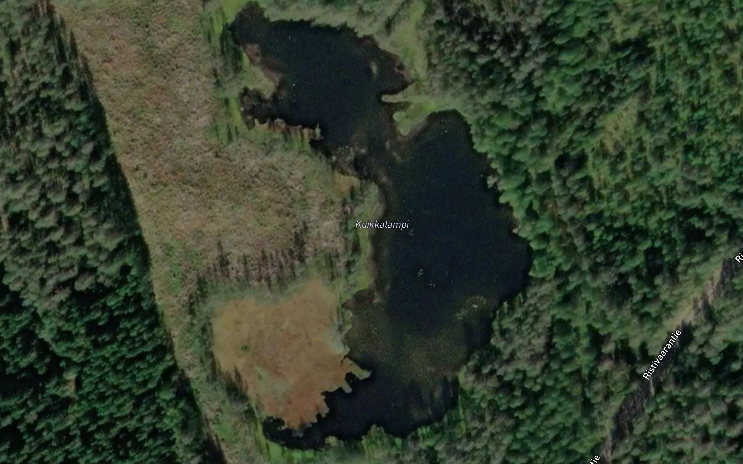 Kuikkalampi