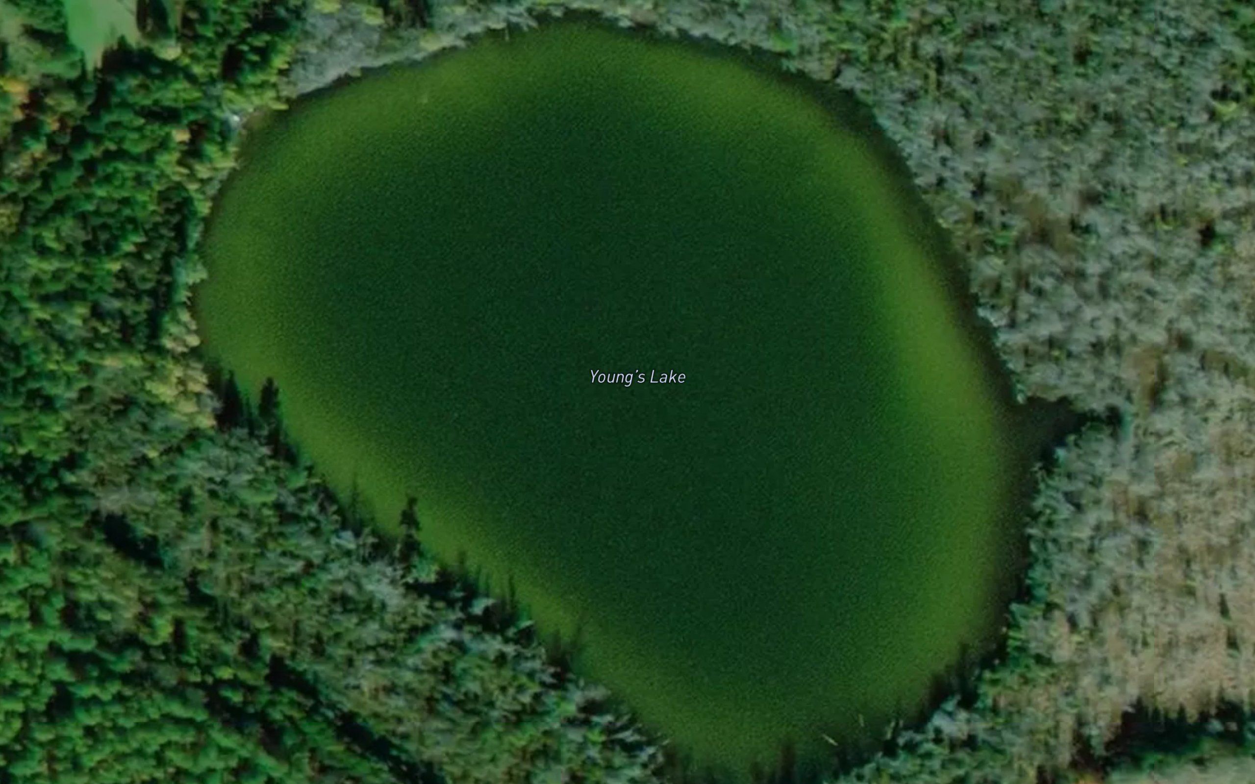 Young's Lake