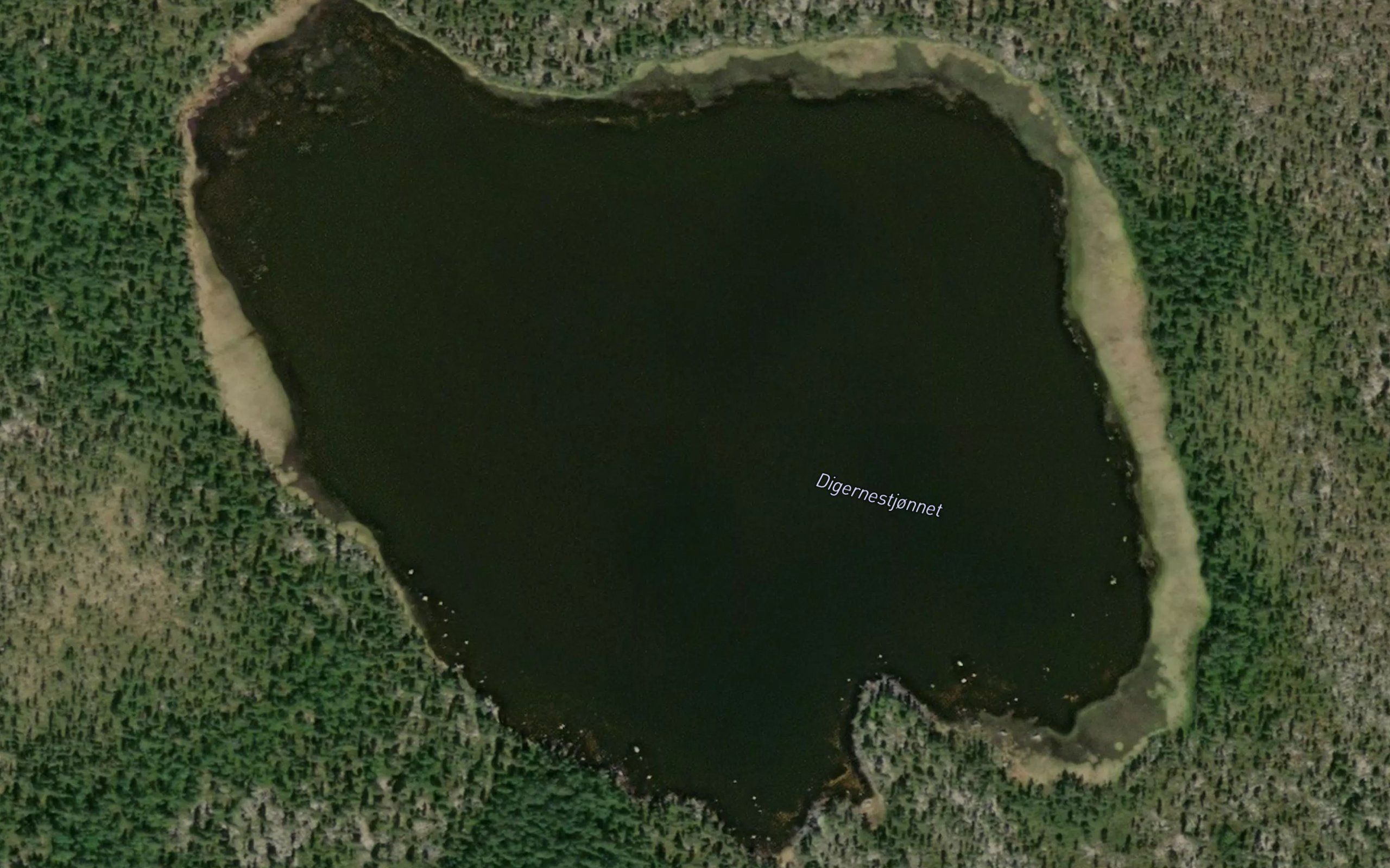 Digernestjonnet