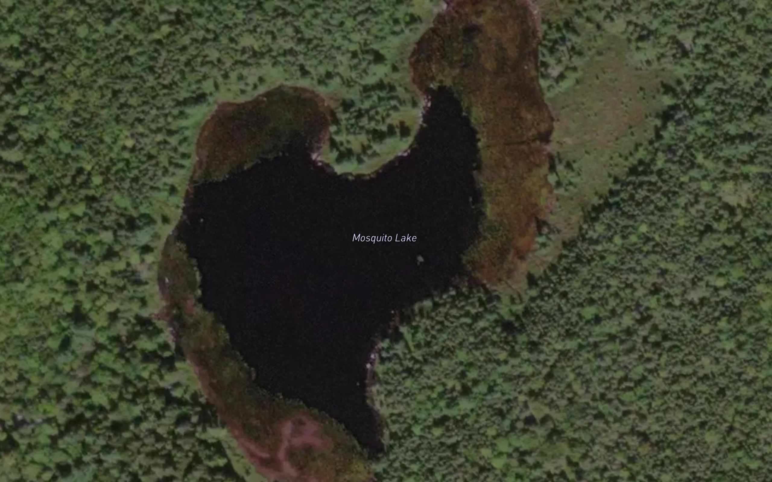Mosquito Lake