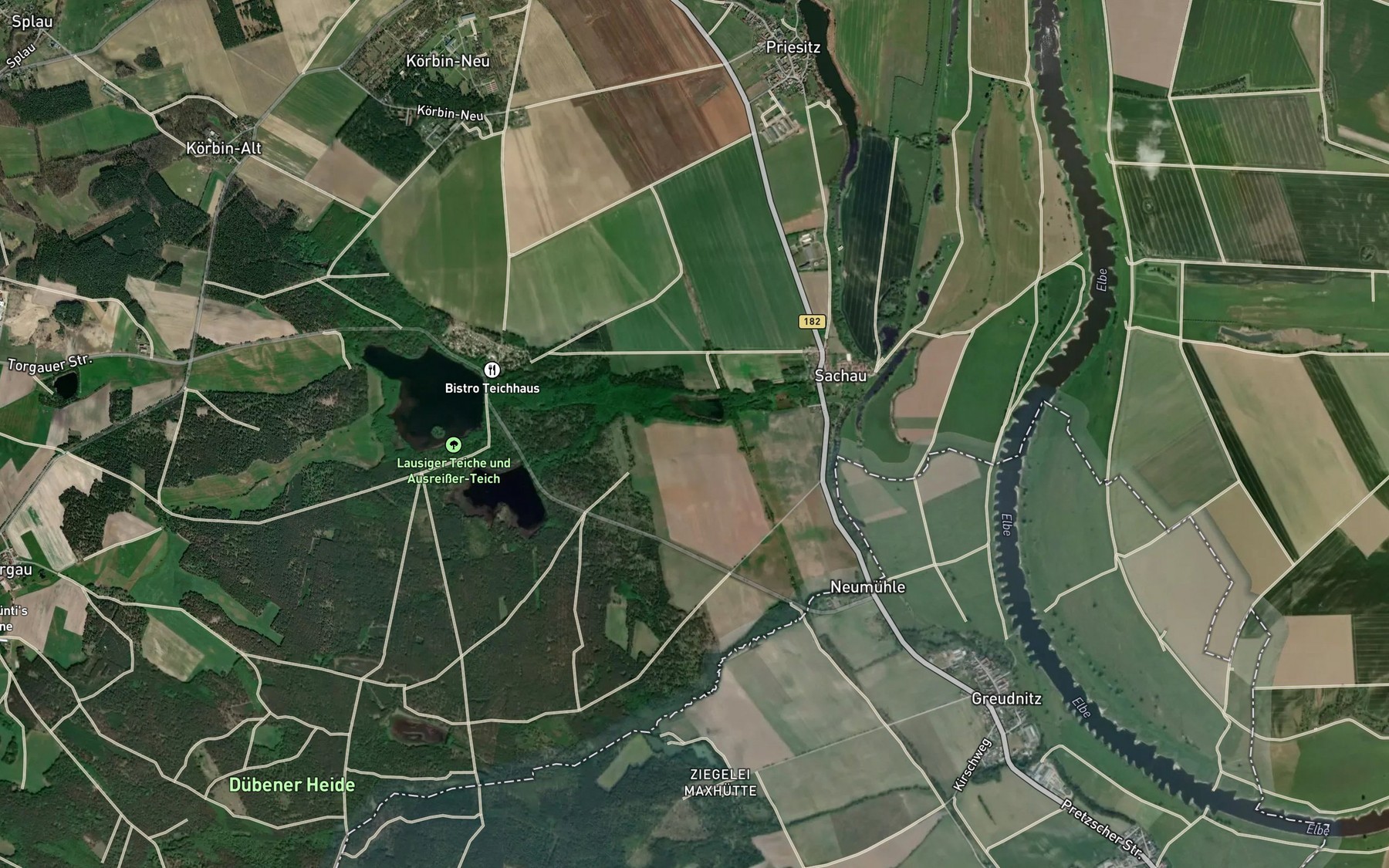 Satellite map of the Neuer Teich
