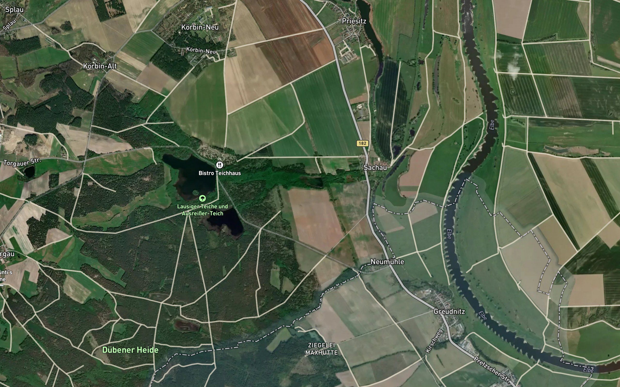 Neuer Teich