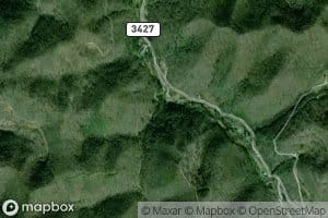 Bee Fork