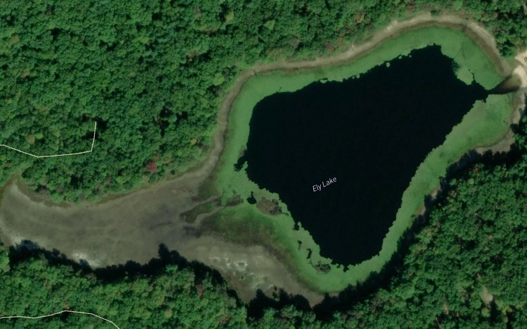 Satellite map of the Ely Lake