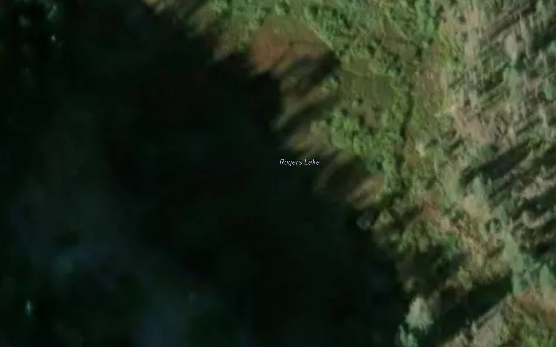 Satellite map of the Rogers Lake