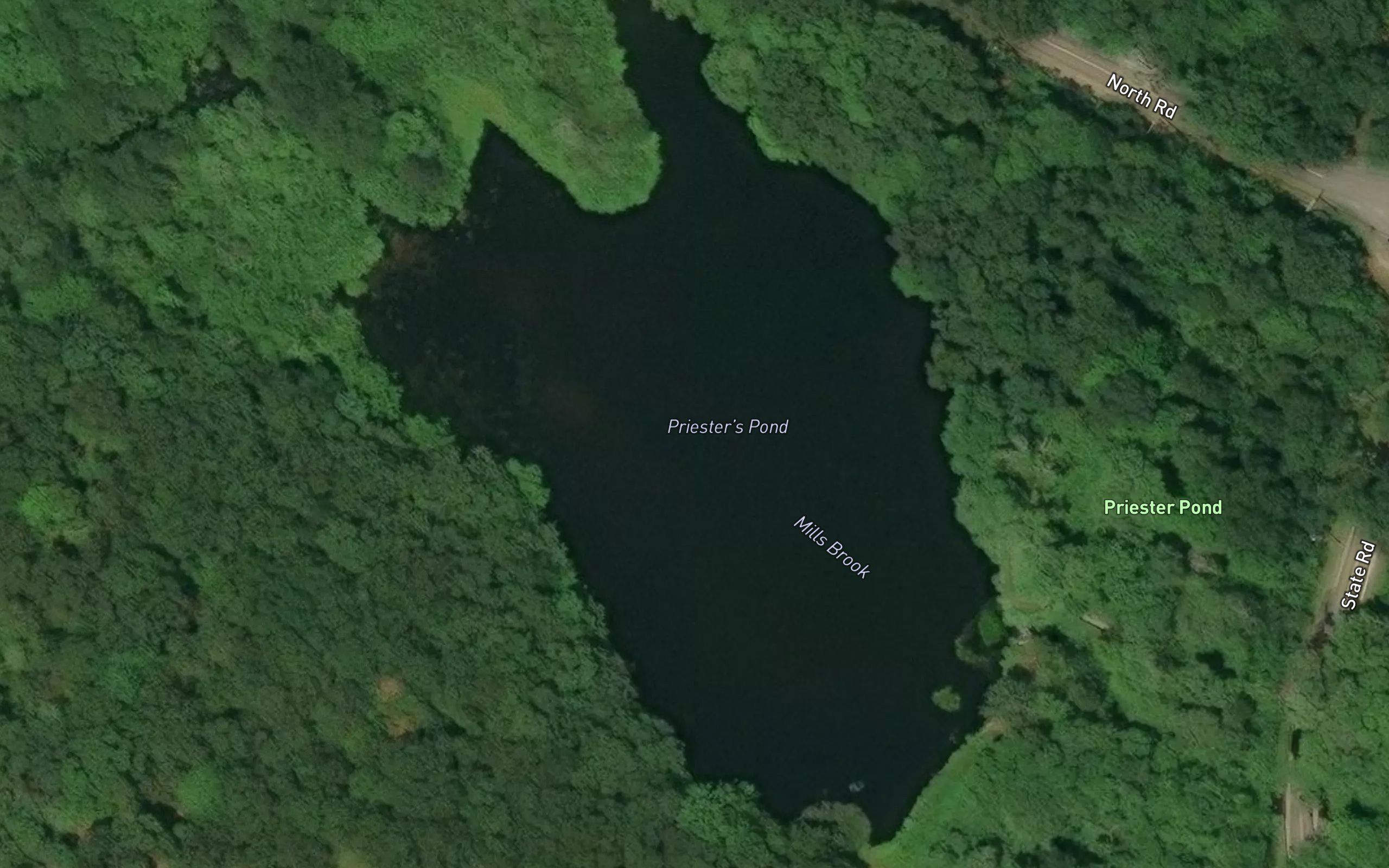 Priester Pond