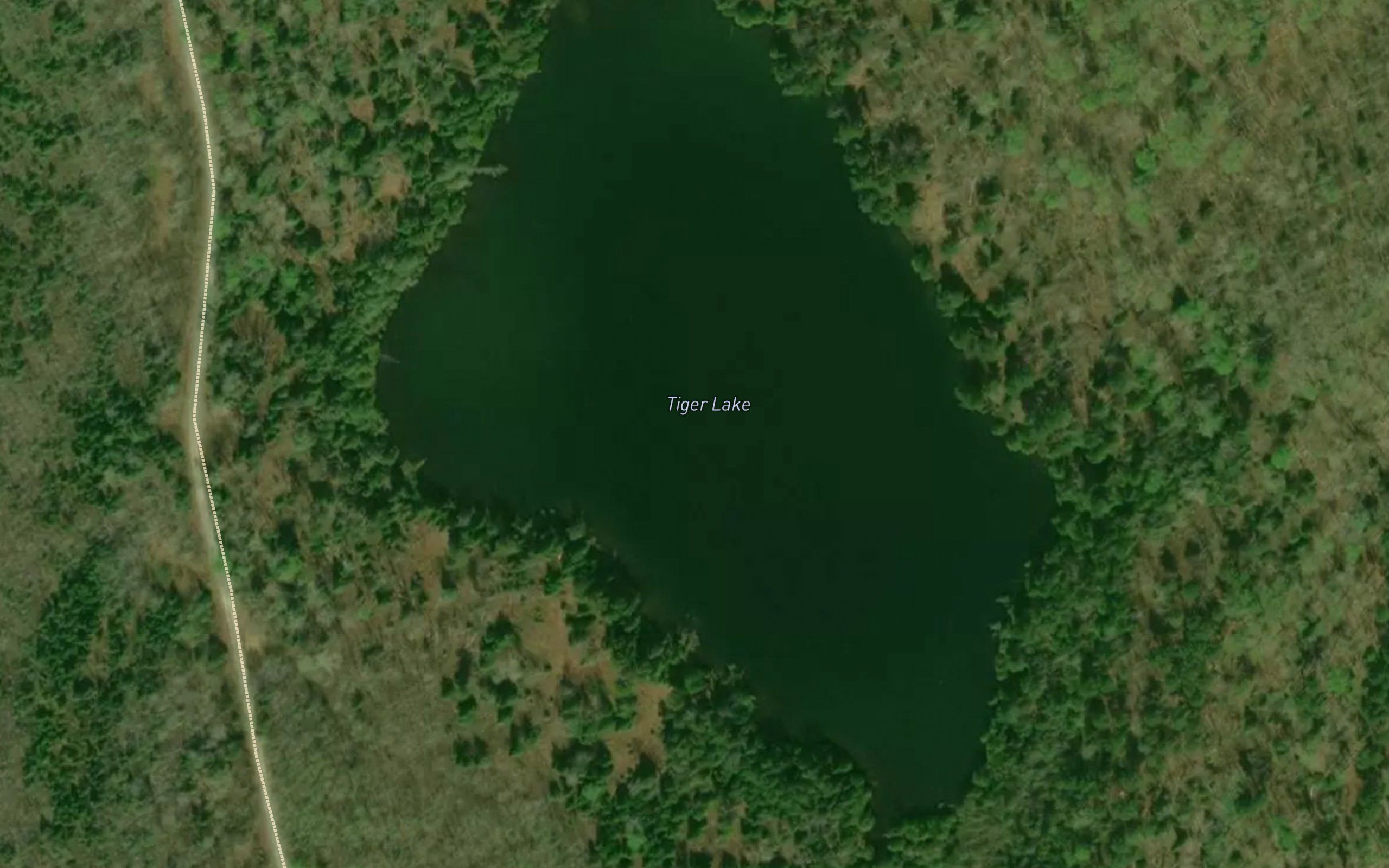 Tiger Lake
