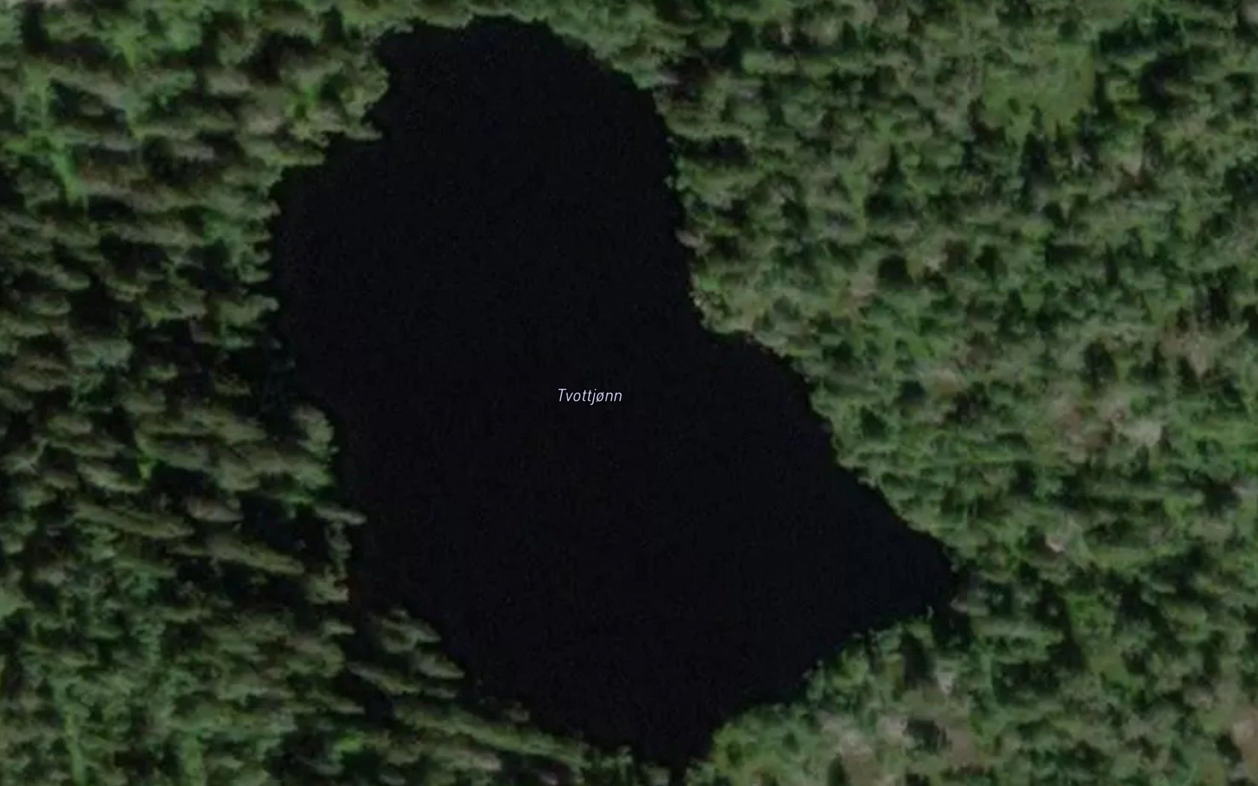 Tvottjonn