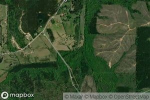 McNutt Branch