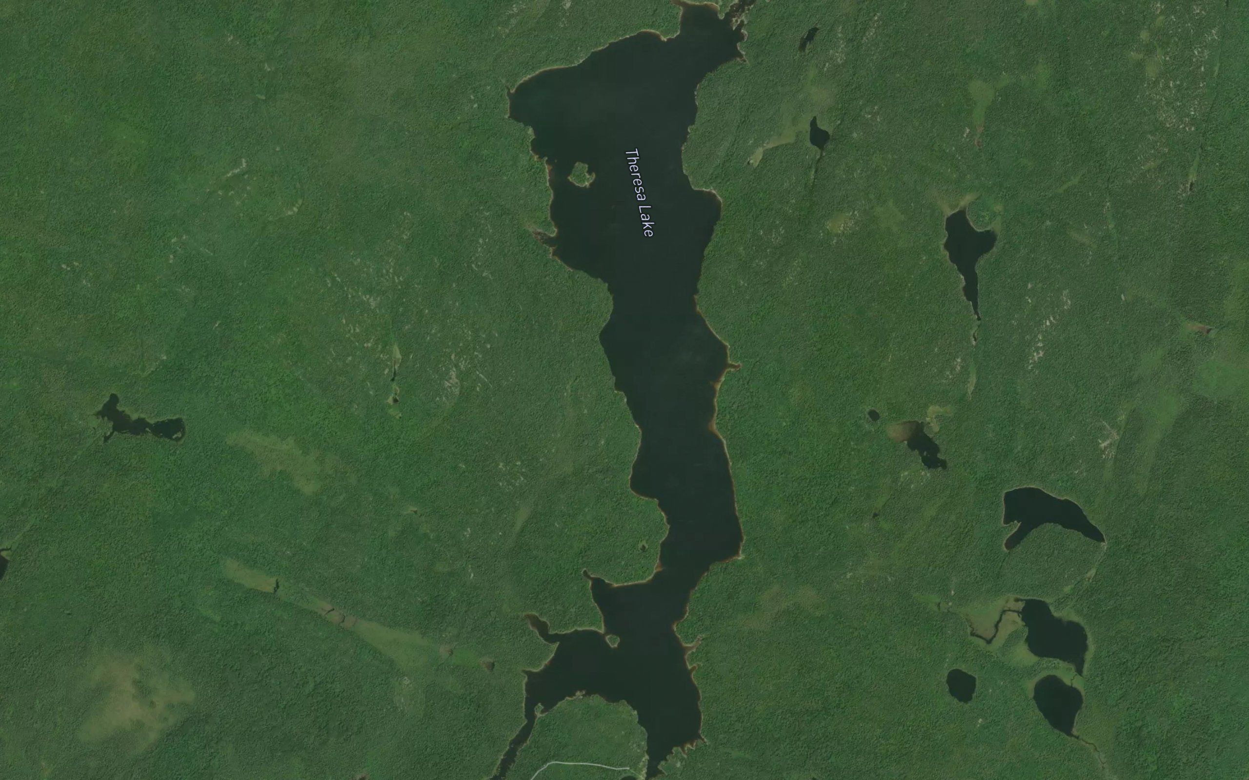 Theresa Lake
