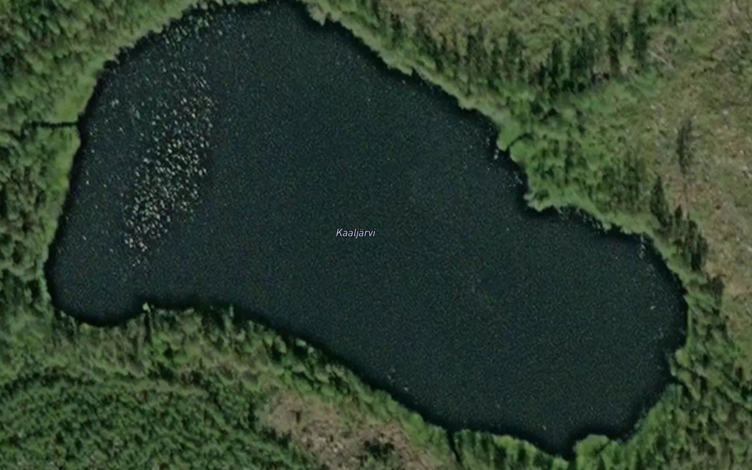Kaaljarvi