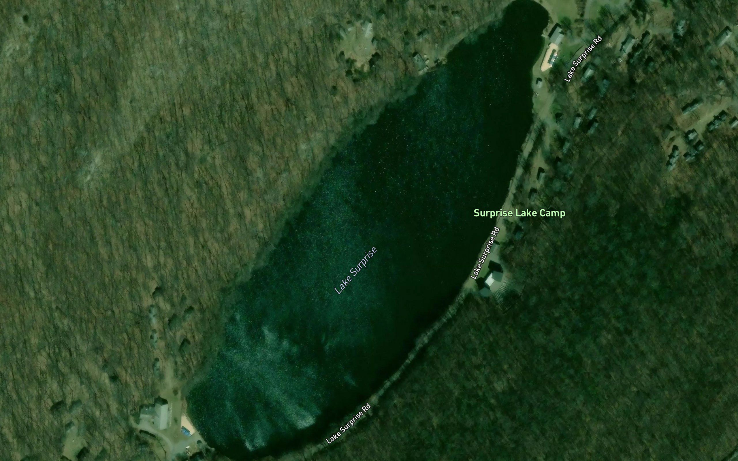 Lake Surprise