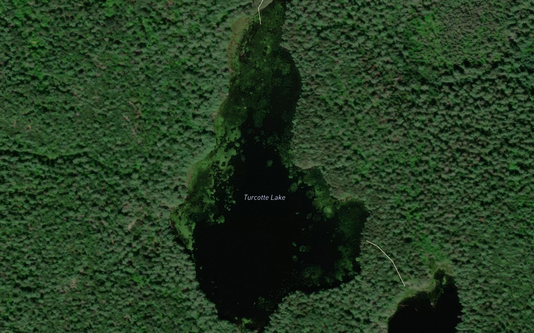 Satellite map of the Turcotte Lake